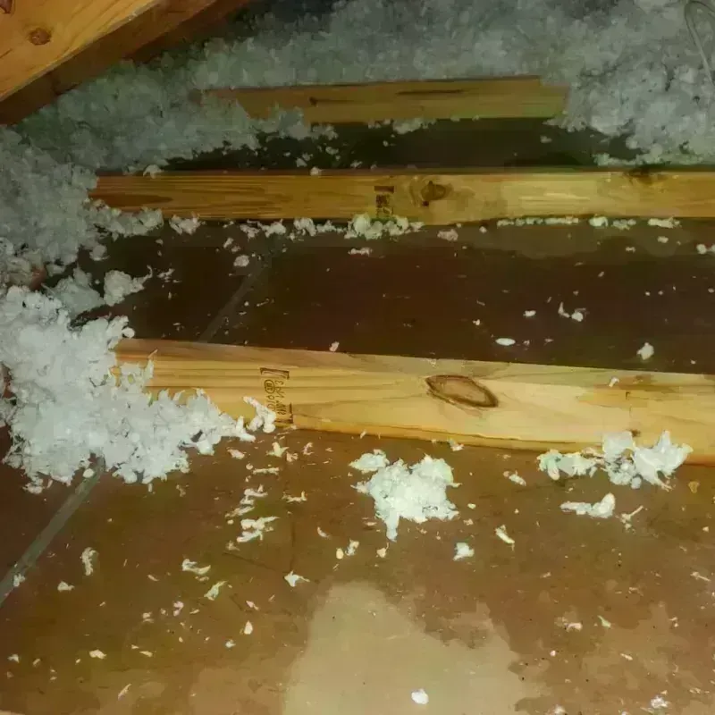 Attic Water Damage in Sparta, NC