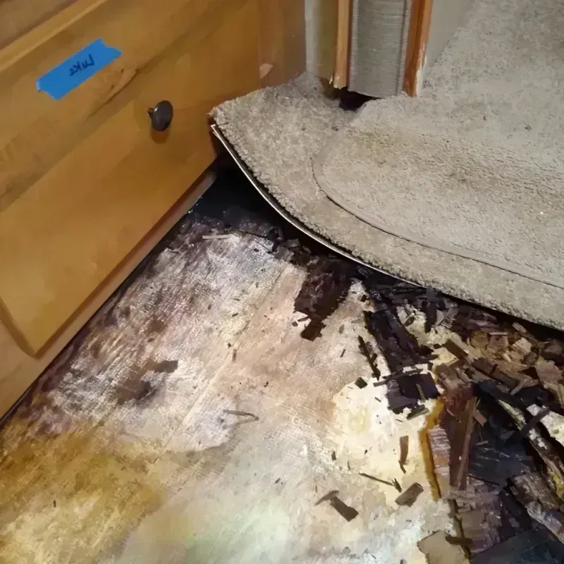 Wood Floor Water Damage in Sparta, NC